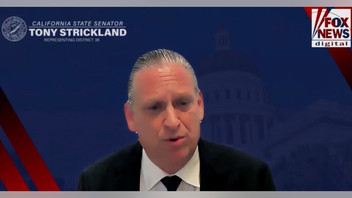 California state Sen. Tony Strickland demands long-term action after illegal immigrant DUI early release controversy