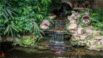  Swimming pool alternatives for your home that won't break the bank