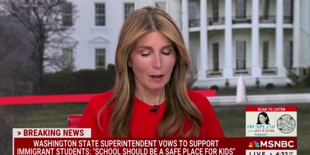 Nicolle Wallace, Joy Reid liken Trump deportations, immigration policies efforts to Holocaust, Hitler