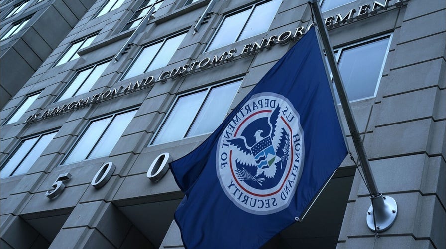 ICE: The history of US Immigration and Customs Enforcement