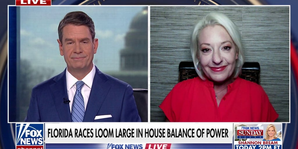 Florida congressional candidate says her district is ‘struggling’ as crucial House elections loom