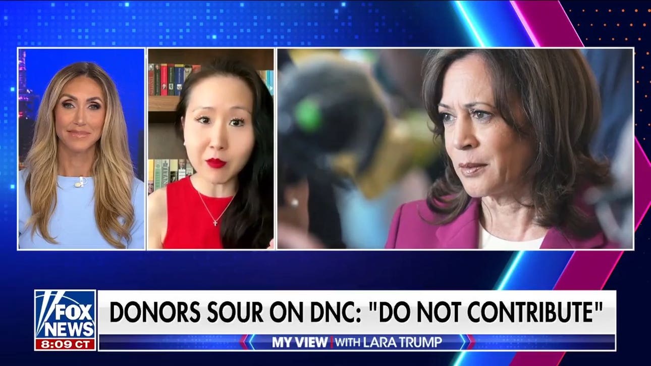 Lindy Li warns DNC of cash shortfall and far-left primary threat