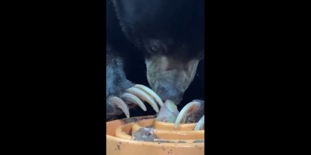 Four-inch claws become the perfect utensils for a frozen grape feast