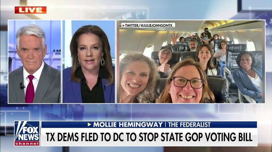 Democrats' voter ID opposition isn't going as well as they thought it would: Mollie Hemingway