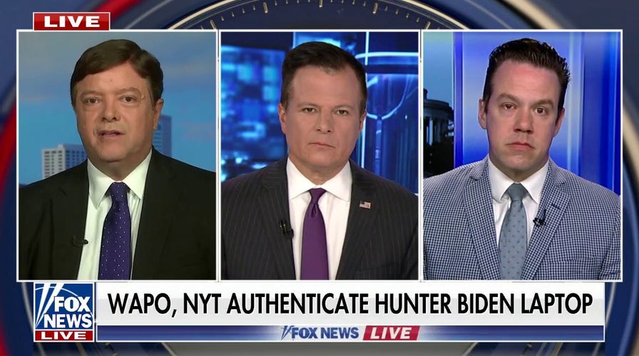 Hunter Biden is a ‘scam artist’: GOP strategist