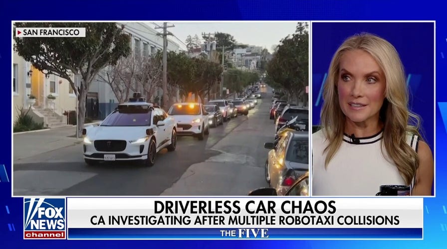 Quest for ‘green utopia’ has the US in ‘hysteria’: Dana Perino