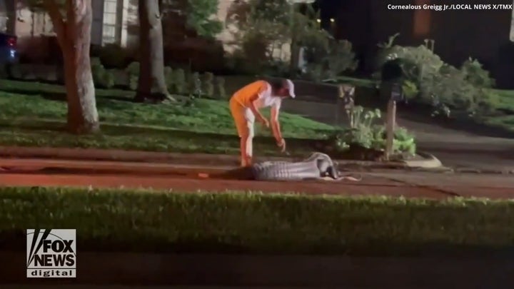 Massive 1.2K-pound alligator with 3 legs wanders road in Texas neighborhood
