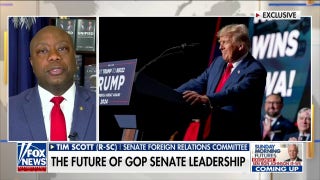 Republicans' new Senate leader should work 'hand-in-glove' with President Trump: Tim Scott - Fox News