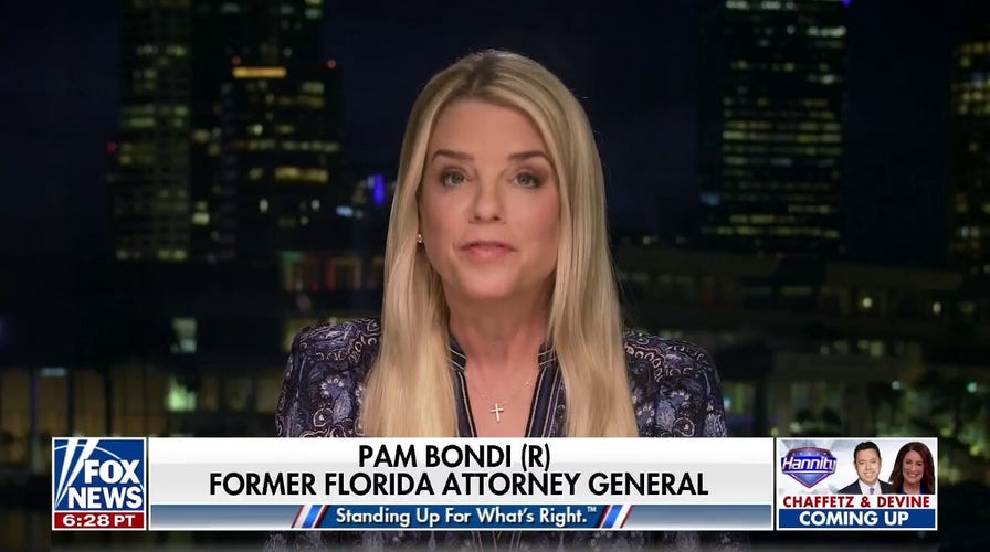 Pam Bondi slams Biden's calls for gun control