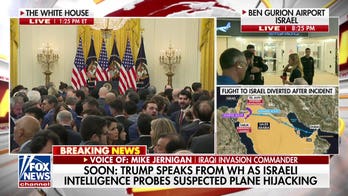 Suspected plane attacker in custody