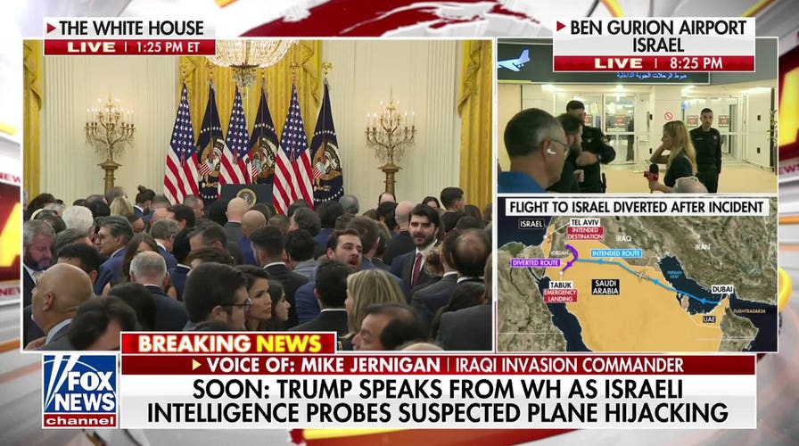 Suspected plane attacker in custody