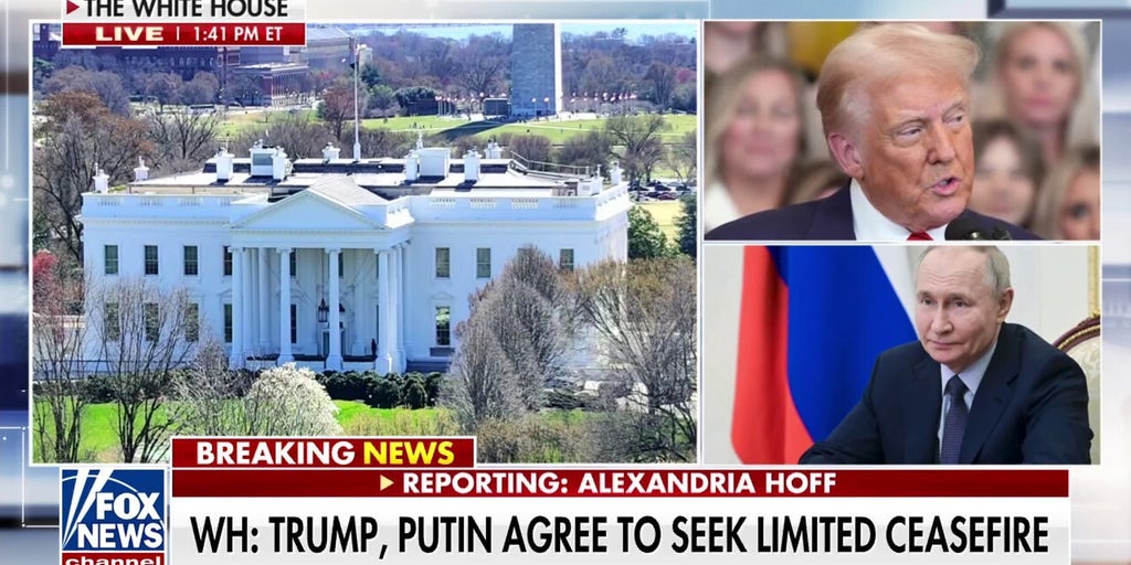 Trump, Putin agree to seek limited ceasefire