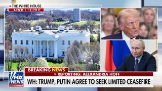 Trump, Putin agree to seek limited ceasefire