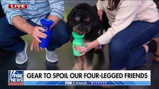 Gear to spoil your four-legged friends - Fox News