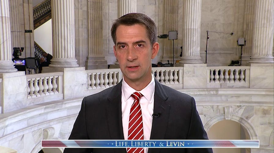 Tom Cotton warns arrest of alleged ISIS-tied migrants in US is 'just the tip of the iceberg'