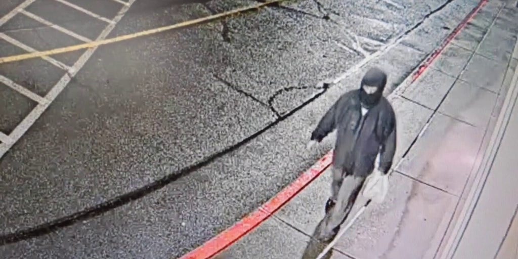 Police searching for man accused of Tesla attack in Washington