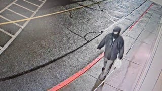 Police searching for man accused of Tesla attack in Washington