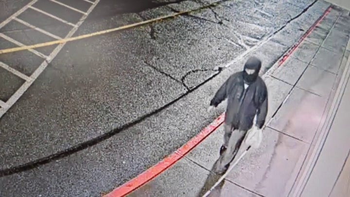 Police searching for man accused of Tesla attack in Washington