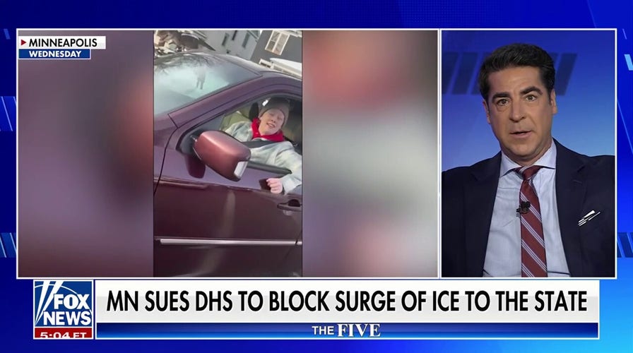  Dems CREATED conditions for Renee Good's death