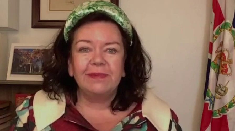 Putin wants to divide Europe: British ambassador to the US