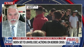Former Border Patrol chief reacts to Biden's executive action on border surge: 'Too late'