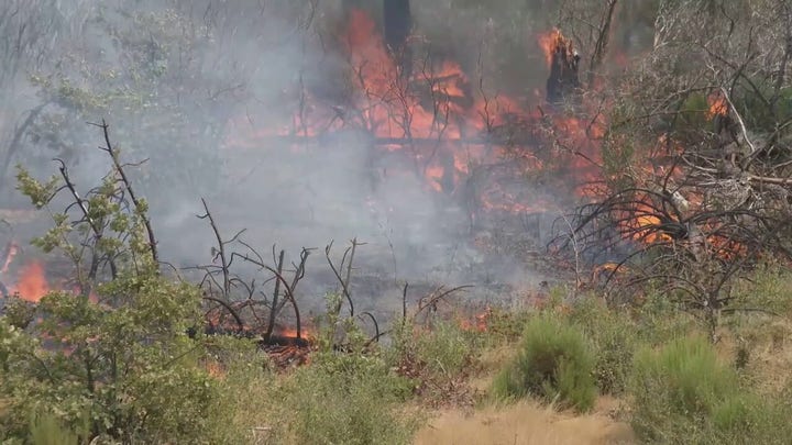 California wildfire known as the "Oak Fire" burns in Mariposa, near Yosemite National Park