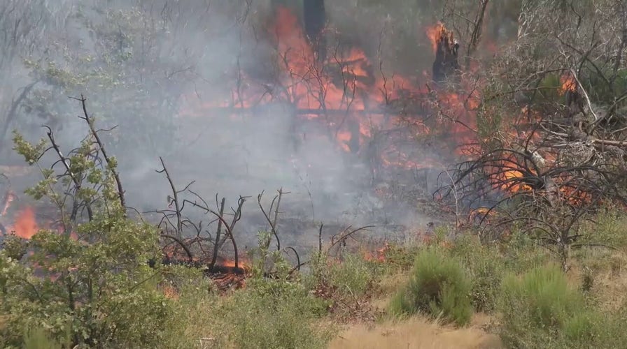 California wildfire burns in Mariposa, near Yosemite National Park