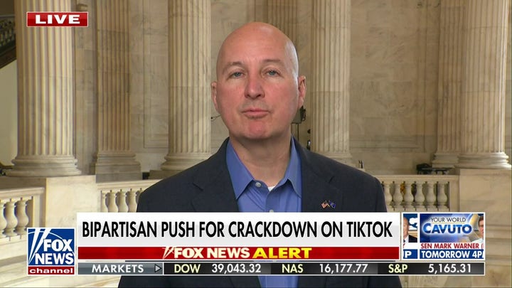Bill is 'not a ban,' requires TikTok to divest into American ownership: Sen. Ricketts