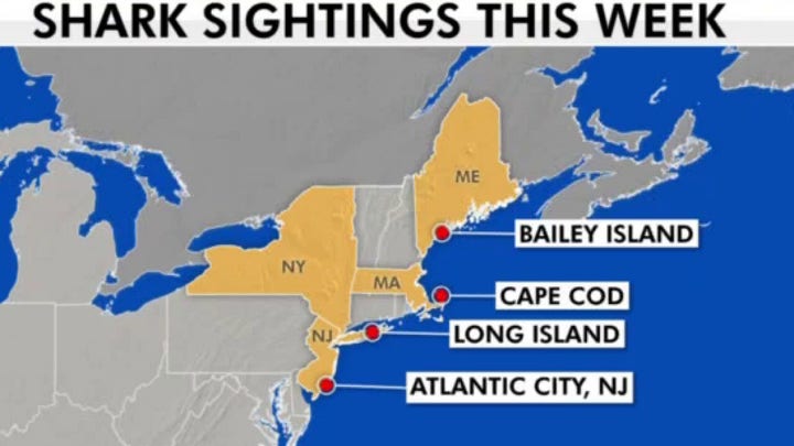 Great white shark tracked near Atlantic City, 3 spotted off Long Island