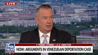 Acting ICE director warns dangerous rhetoric is putting agents and the public at risk - Fox News