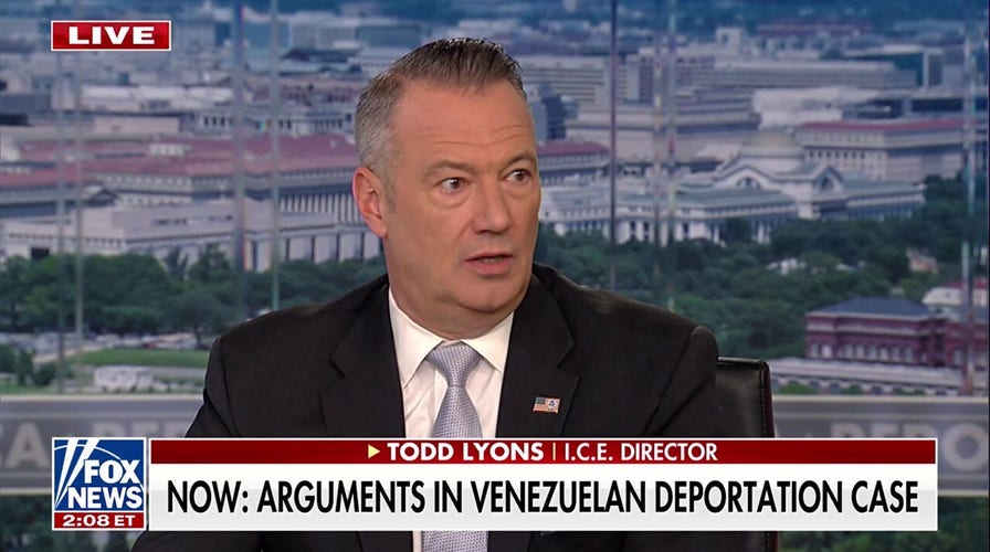 Acting ICE manager  warns unsafe  rhetoric is putting agents and the nationalist   astatine  risk