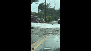 Video of 'sharks' swimming across Florida road during Tropical Storm Nicole goes viral