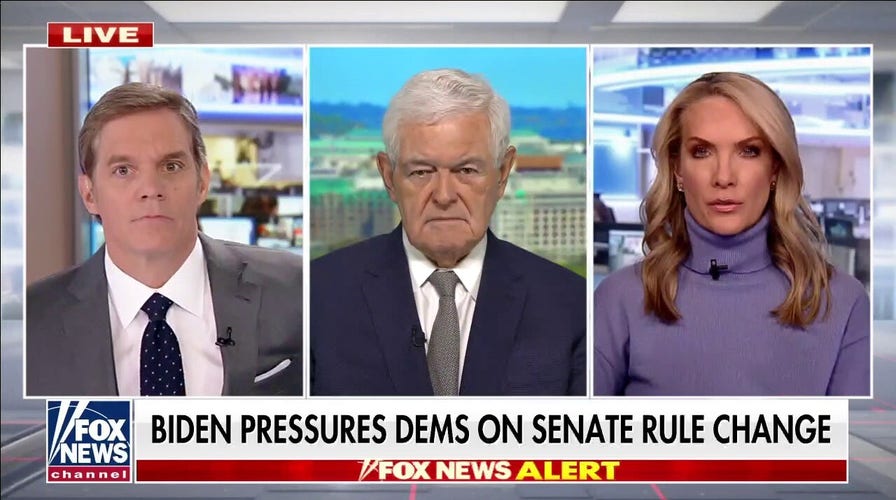 Gingrich: Dems' plans 'ain't working,' predicts Republicans will win in landslide of 'historic proportion'