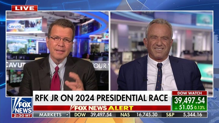 My challenge is to persuade Americans I can win: RFK, Jr.