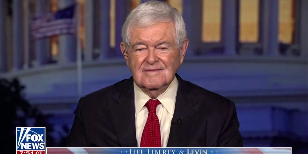 We won't tolerate 'dictatorship by judge,' says Newt Gingrich