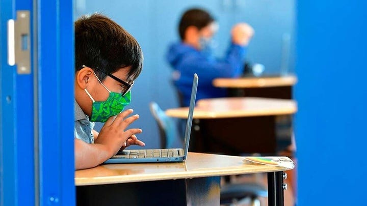 Remote learning could result in 'lost generation' of students: 伊恩·普赖尔