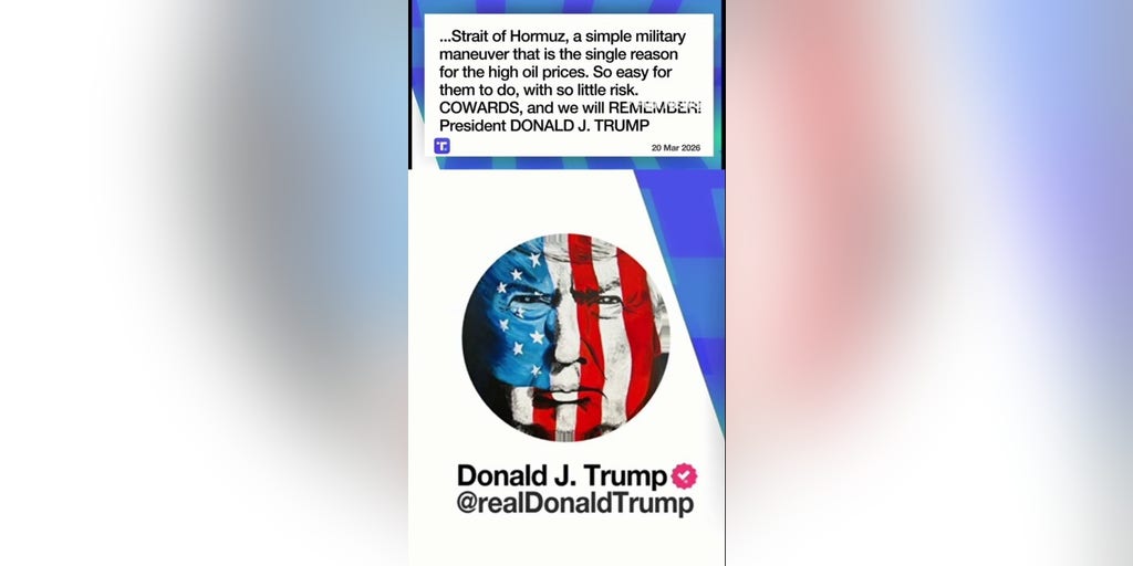 Trump rips NATO 'COWARDS' over Strait of Hormuz