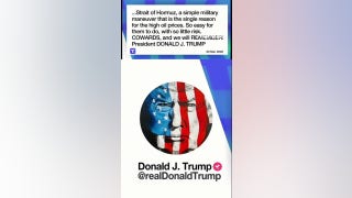 Trump rips NATO 'COWARDS' over Strait of Hormuz