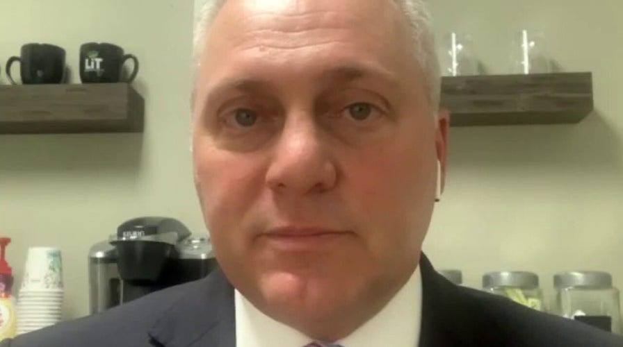 Rep. Steve Scalise on protesters confronting Sen. Rand Paul: People are fed up with mob rule
