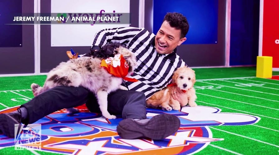 Who Is The Host Of The Puppy Bowl