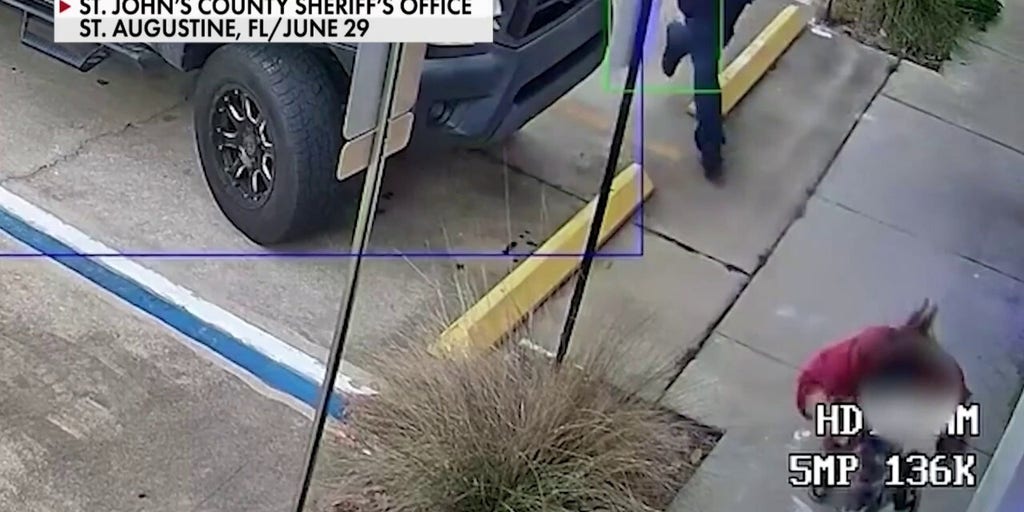Video shows the terrifying moment a woman is nearly abducted in Florida