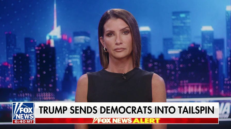 Dana Loesch: Democrats are 'all over the map' on this