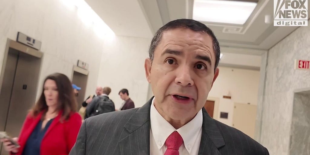 Dem pardoned by Trump says he's 'thankful' to Trump, says 'absolutely' he was targeted by Biden admin