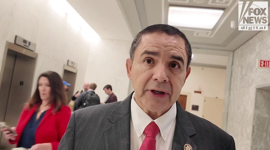 Dem pardoned by Trump says he's 'thankful' to Trump, says 'absolutely' he was targeted by Biden admin