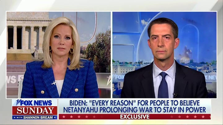 US should be 'backing Israel to the hilt': Cotton