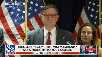 Speaker Johnson warns 'mini-Mamdani' socialists are a 'danger' to US