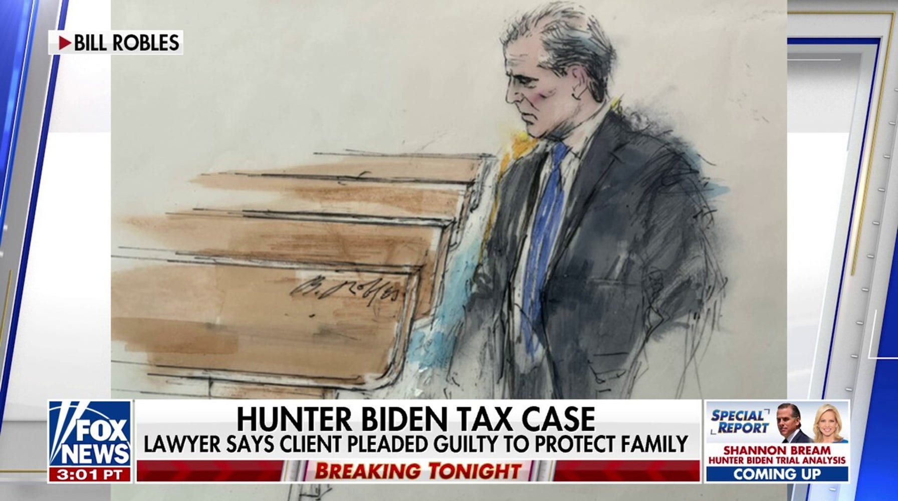 Hunter Biden's Guilty Plea: A Story of Entitlement and Failure