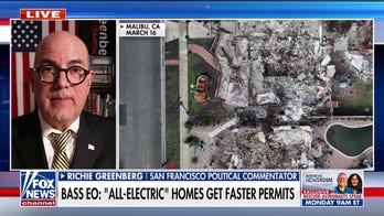 LA mayor pushing for 'green' wildfire rebuilding permits is straight out of the 'progressive left-wing playbook': Political commentator