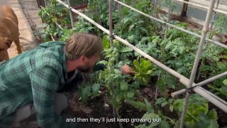 Tips for growing food in your own backyard from a gardener