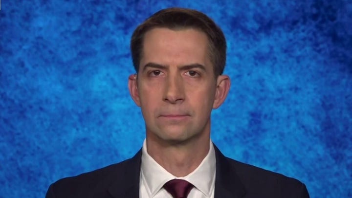 Tom Cotton: I have reservations whether US retaliatory strikes will be a 'strategic success'